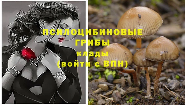 эйфоретик Алексеевка